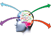 Mapas Mentais Conceituais biologia